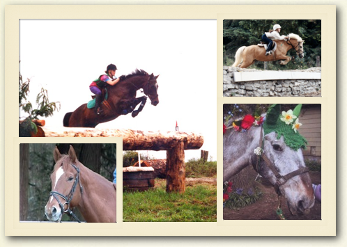 horses jumping in field.